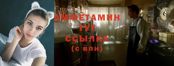 амф Бородино