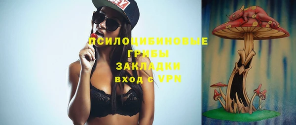 амф Бородино