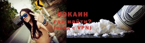 шишки Магас