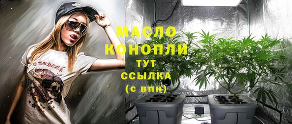 амф Бородино
