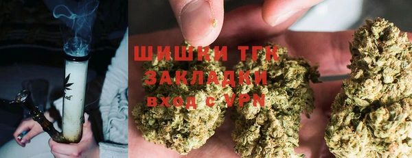 шишки Магас