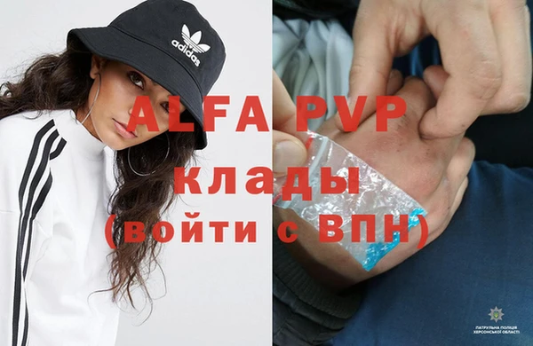 амф Бородино