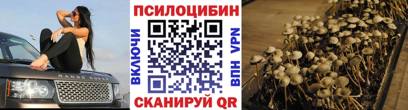 Галлюциногенные грибы Cubensis  ссылка на мегу ТОР  Грязи 
