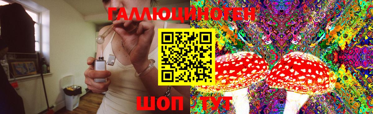 Галлюциногенные грибы Cubensis  Грязи 