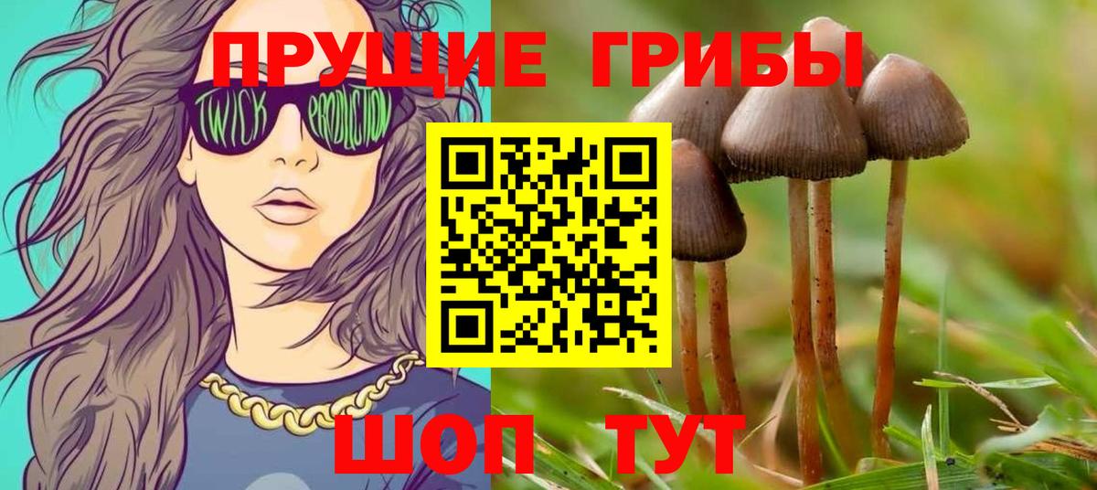 Грязи  Псилоцибиновые грибы прущие грибы  Вход с VPN 